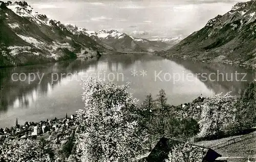 AK / Ansichtskarte Brienz_Brienzersee Panorama Brienz Brienzersee