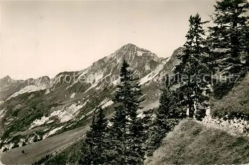 AK / Ansichtskarte Brienzer_Rothorn_Brienzerrothorn_BE Neuer Weg Panorama 