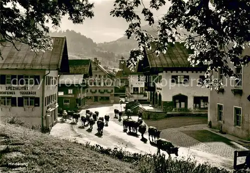 AK / Ansichtskarte Hindelang Morgens auf der Dorfstrasse Kuh Herde Hindelang