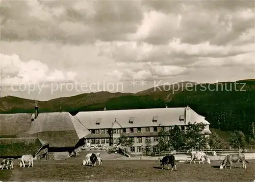 AK / Ansichtskarte Schauinsland Hotel Haldenhof Schauinsland