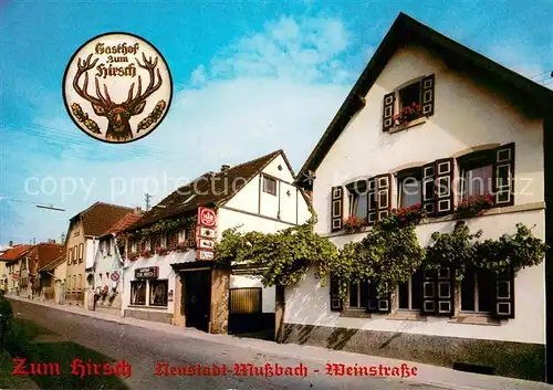 AK / Ansichtskarte Mussbach Gasthof Zum Hirsch Mussbach