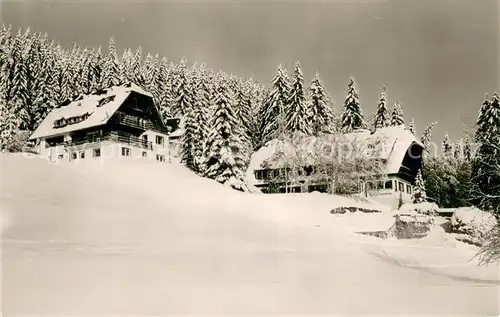 AK / Ansichtskarte Hinterzarten Haus am Tannenhain und Gaestehaus Thoma Hinterzarten