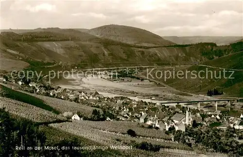 AK / Ansichtskarte Reil_Mosel Totalansicht m. Mosel Weinanbau Reil_Mosel