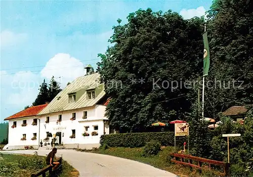 AK / Ansichtskarte Zwieslerwaldhaus Gasthof Pension Zwieseler Waldhaus Zwieslerwaldhaus