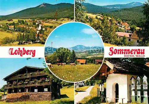 AK / Ansichtskarte Sommerau_Lohberg Panorama Bayerischer Wald Sommerau Lohberg