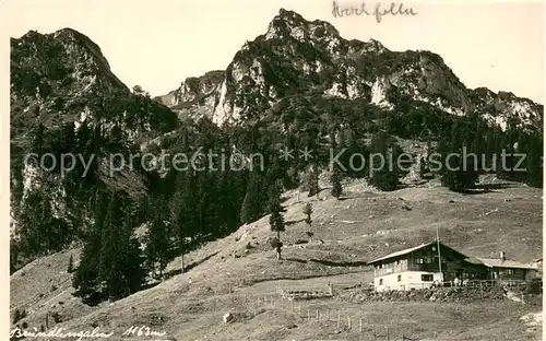 AK / Ansichtskarte Bruendlingalm_1161m_Hochfelln Alm m. Hochfelln 