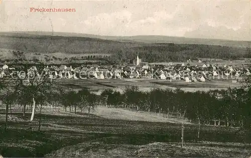 AK / Ansichtskarte Frickenhausen_Wuerttemberg Panorama Frickenhausen Wuerttemberg