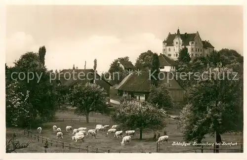 AK / Ansichtskarte Stettfurt Schlossgut Sonnenberg Stettfurt