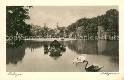 AK / Ansichtskarte Tuebingen Anlagensee  Tuebingen