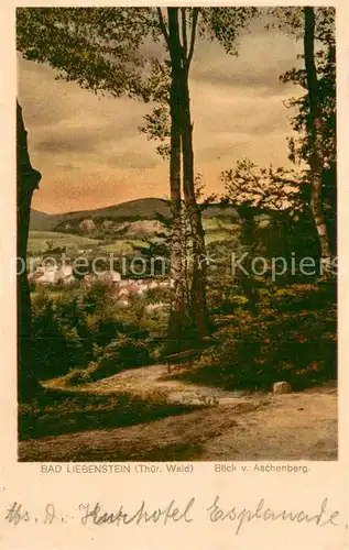 AK / Ansichtskarte Bad_Liebenstein Blick vom Aschenberg Bad_Liebenstein