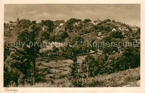 AK / Ansichtskarte Eisenberg_Thueringen Panorama Eisenberg Thueringen