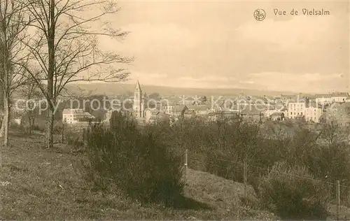 AK / Ansichtskarte Vielsalm__Liege_Belgie Panorama 