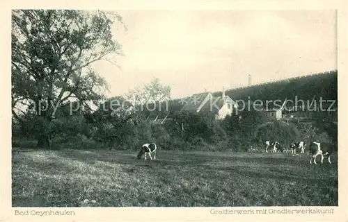 AK / Ansichtskarte Bad_Oeynhausen Gradierwerk mit Gradierwerkskunst Bad_Oeynhausen