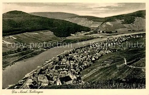 AK / Ansichtskarte Zeltingen Rachtig_Mosel Panorama Blick ins Moseltal Weinberge 