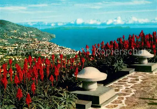 AK / Ansichtskarte Funchal_Madeira_PT Pico das Barcelos 