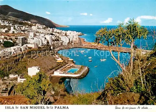 AK / Ansichtskarte San_Miguel_de_La_Palma Panorama San_Miguel_de_La_Palma