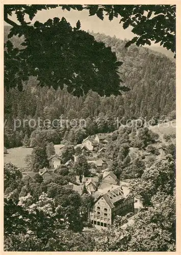 AK / Ansichtskarte Treseburg_Harz Fliegeraufnahme Treseburg Harz