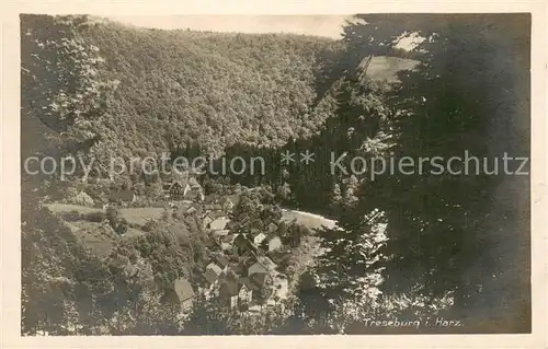 AK / Ansichtskarte Treseburg_Harz Panorama Blick ins Tal Treseburg Harz