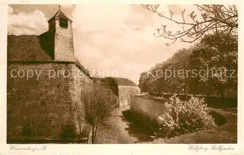 AK / Ansichtskarte Weissenburg__Bayern Wuelzburg Wallgraben 