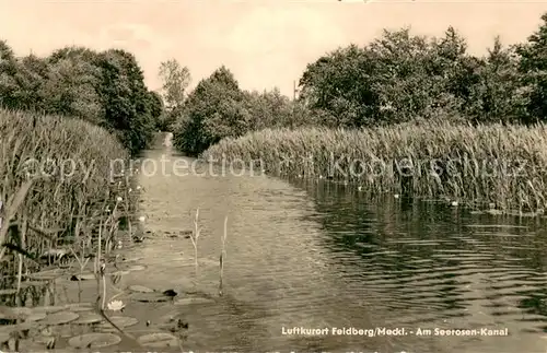 AK / Ansichtskarte Feldberg_Mecklenburg Seerosen Kanal Feldberg_Mecklenburg