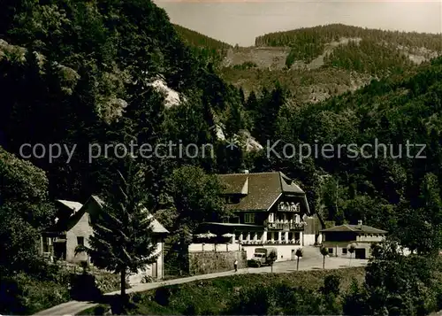 AK / Ansichtskarte Todtnau Hotel Waldeck Todtnau