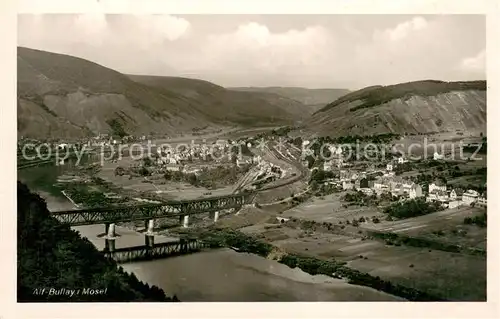 AK / Ansichtskarte Alf_Bullay_Mosel Panorama Moseltal Weinberge Alf_Bullay_Mosel