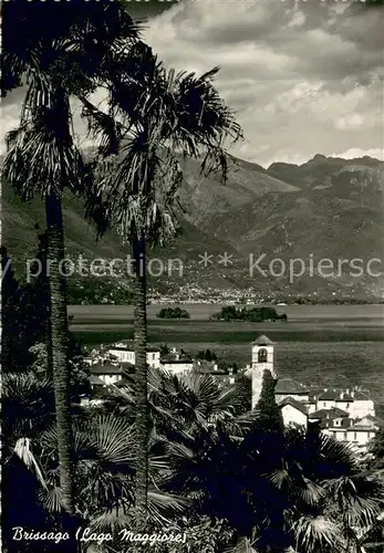 AK / Ansichtskarte Brissago_Lago_Maggiore Panorama Brissago_Lago_Maggiore