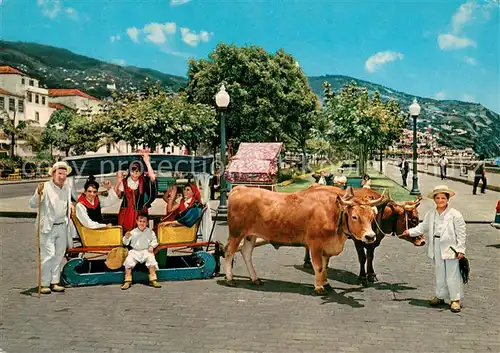 AK / Ansichtskarte Funchal_Madeira_PT Carro de bois 