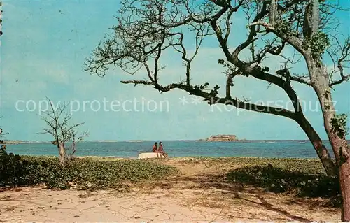 AK / Ansichtskarte Sainte_Anne_Martinique Plage des Salines au fond la Table du Diable 