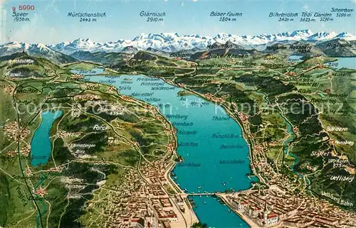 AK / Ansichtskarte Zuerichsee_ZH Panoramakarte Zuerichsee ZH