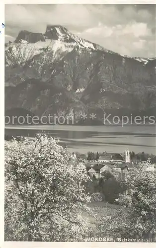 AK / Ansichtskarte Mondsee_Salzkammergut_AT Panorama Baumbluete Alpen 