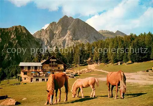 AK / Ansichtskarte Meran_Merano Gasthof Alpenrose Haflinger Meran Merano