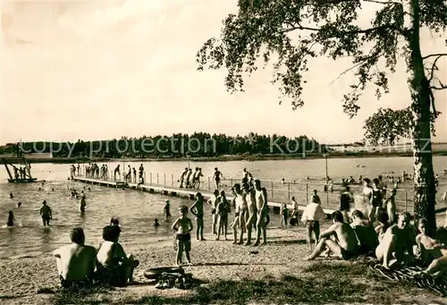 AK / Ansichtskarte Grimma Naturteichbad Muenchteich Grimma