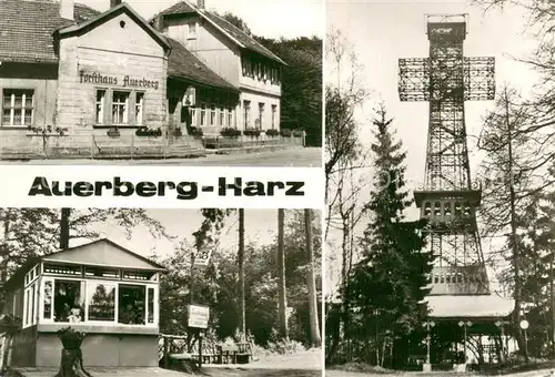 AK / Ansichtskarte Auerberg_Harz Gaststaette Auerberg   Kiosk Auerberg   Josephskreuz Auerberg Harz