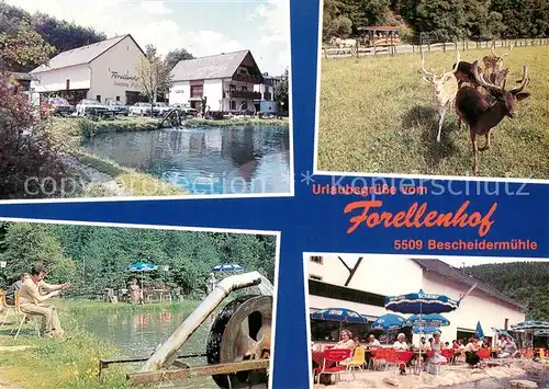 AK / Ansichtskarte Bescheid_Hermeskeil Hotel Pension Forellenhof Wildpark Anglersee Terrasse Bescheid Hermeskeil