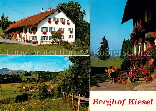 AK / Ansichtskarte Niedersonthofen Berghof Kiesel Landschaftspanorama Niedersonthofen