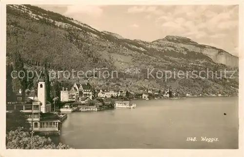 AK / Ansichtskarte Weggis_Vierwaldstaettersee Panorama Weggis_Vierwaldstaettersee