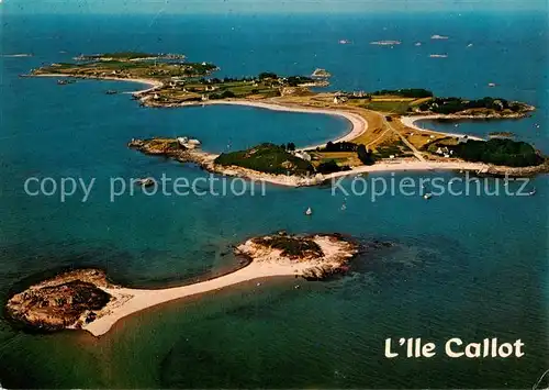 AK / Ansichtskarte Ile_Callot_Carantec_29_Finistere Vue aerienne 