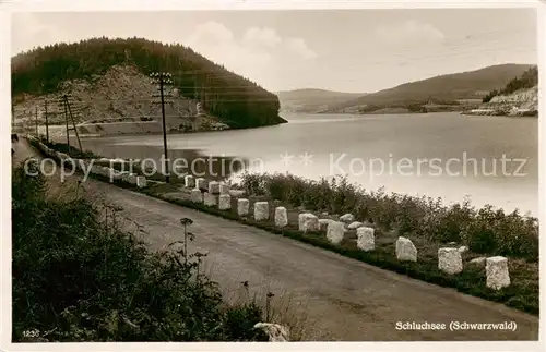 AK / Ansichtskarte Schluchsee Teilansicht Schluchsee