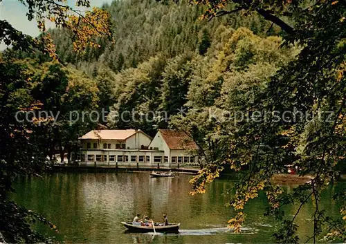 AK / Ansichtskarte Weidenthal_Pfalz Forellenhaus Isenach Cafe Restaurant Gondelteich Weidenthal Pfalz