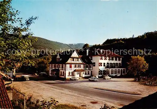 AK / Ansichtskarte Niedersteinbach_67_Bas Rhin_Alsace Hotel Au Cheval Blanc 