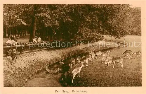 AK / Ansichtskarte Den_Haag_La_Haye_NL Hertenkamp Tiergehege 