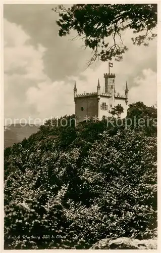 AK / Ansichtskarte Saeli Schloss Wartburg Saeli