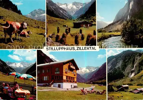 AK / Ansichtskarte 73796630 Stilluphaus_1200m_Stilluptal_Mayrhofen_Zillertal_AT Landschaftsbilder Sonnenterrasse Kasseler und Keilbachspitze Zaunfall 