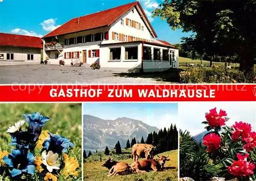 AK / Ansichtskarte 73796793 Memhoelz_Kempten_Allgaeu Gasthof Zum Waldhaeusle  Memhoelz_Kempten_Allgaeu