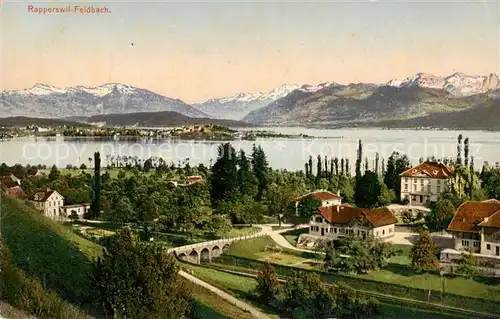 AK / Ansichtskarte 13798415 Feldbach-Rapperswil_-Jona_Rapperswyl_Zuerichsee_SG Panorama Zuerichsee Alpen 