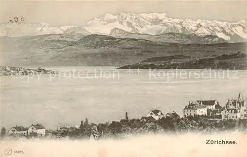 AK / Ansichtskarte 13798515 Zuerichsee_ZH Panorama Zuerichsee ZH