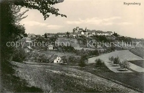 AK / Ansichtskarte Regensberg_Dielsdorf_ZH Panorama 