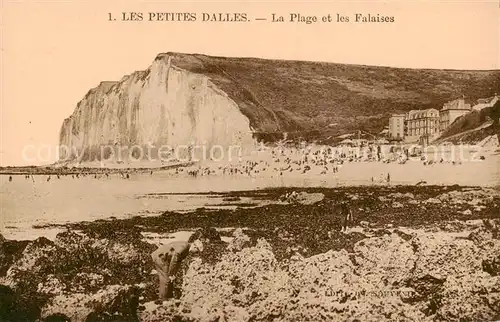 AK / Ansichtskarte Les_Petites_Dalles_76_Seine Maritime La Plage et les Falaises 