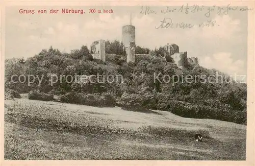 AK / Ansichtskarte 73800833 Nuerburg Die Nuerburg Nuerburg